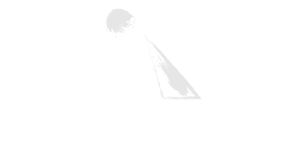 Neosib logo
